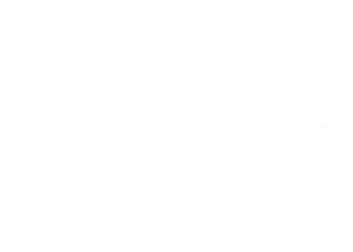 SNR Magazine